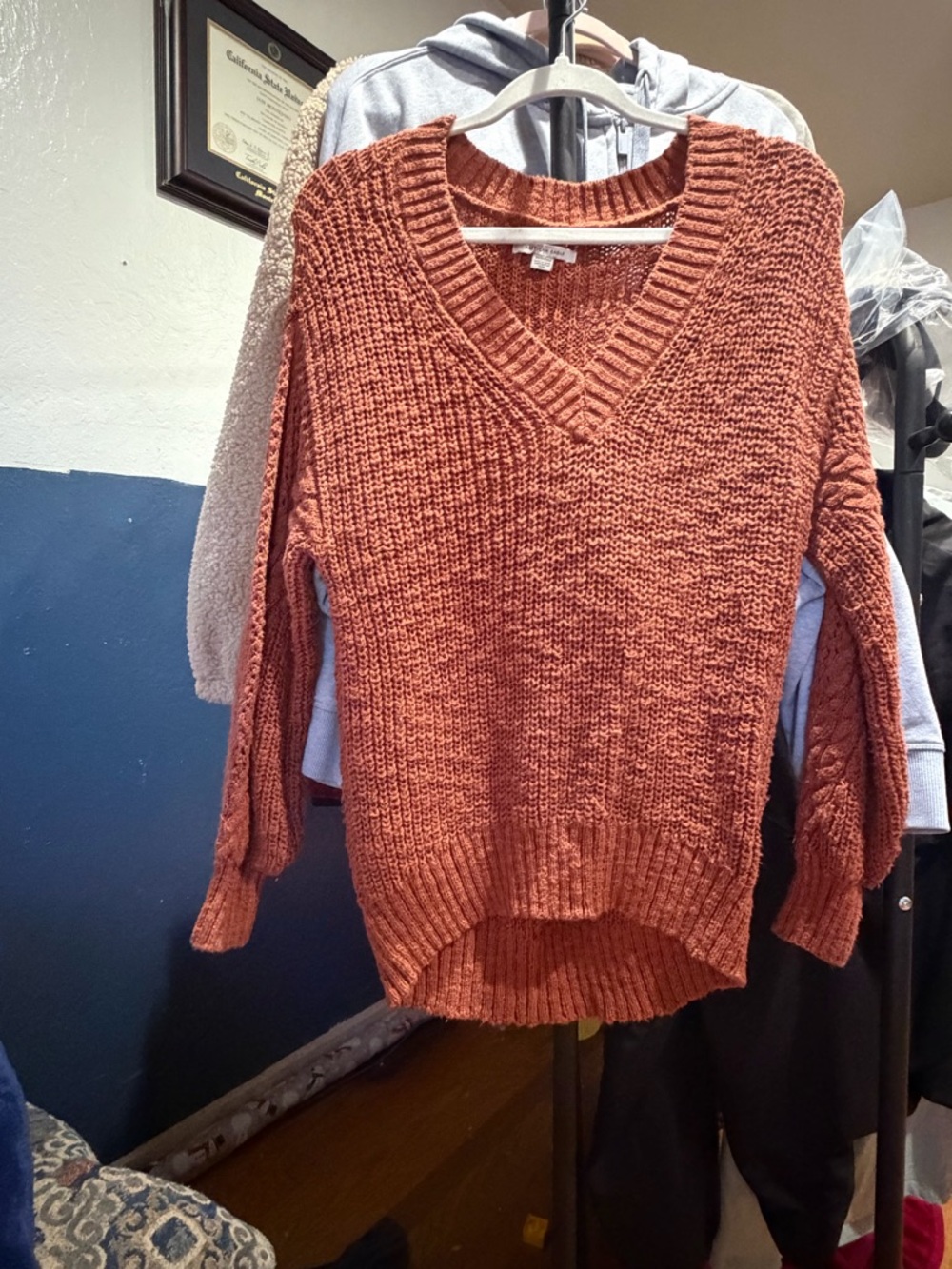 American Eagle Outfitters Rust V-Neck Knit Sweater
